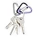 GLOUE Aluminum D-ring Locking Carabiner Keychain Spring Clip Lock Carabiner Hook Outdoor Camping Equipmengt - Professional Outdoor Camping Equipment - caribeaner,Lock Buckle(20PCS)