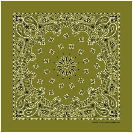 Amazon.com: Hav-A-Hank Charcoal Paisley Bandanna, 22x22, Made in