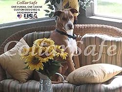 CollarSafe Designer Replacement Collar FIT PetSafe