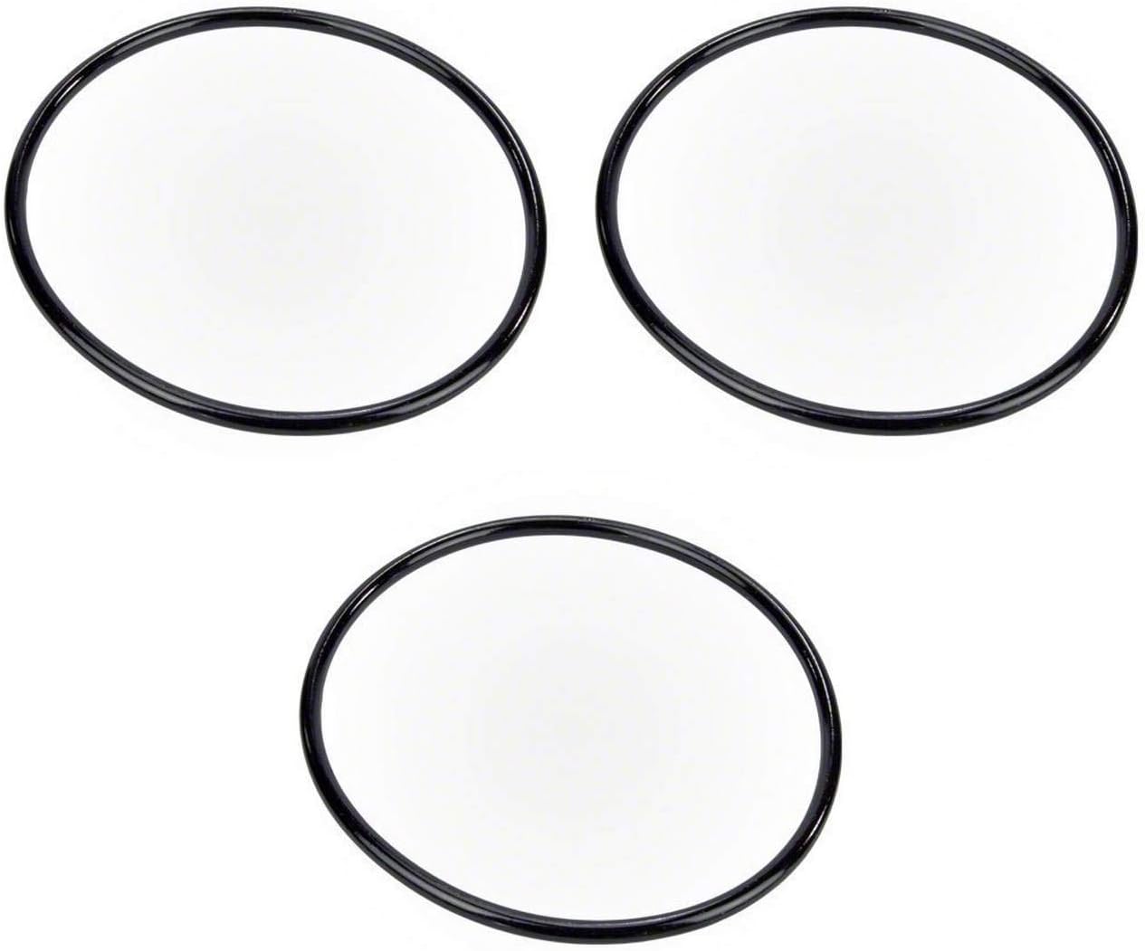 3) NEW Pentair 350013 WhisperFlo Pinnacle Pool Spa Pump Replacement Lid O-Rings