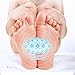 Heel and Ankle Support,Pain Relief Kit,Plantar Fasciitis Socks(1 Pair), Foot Massager(1 Piece) by Dr.HeiZ