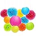 ZJHAI Set of 20 Assorted Rainbow Color Paper Pom Poms and Paper Lanterns, 5 Colors, for Party, Baby Shower and Wedding Decorations