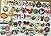 Disney Pins Trading Lot of 50 w/ No Duplicates Lapel Collector Pins Disneyland pins