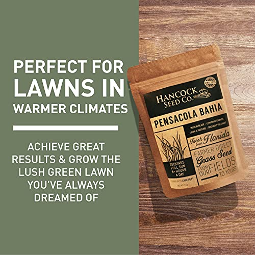 Hancock Seed Company Hancock's Pensacola Bahia Grass Seed Coated 10