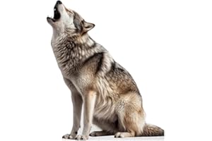 DORDOR & GORGOR Wolf - Life Size Cardboard Cutout Standup People with Support Standee | Animals -