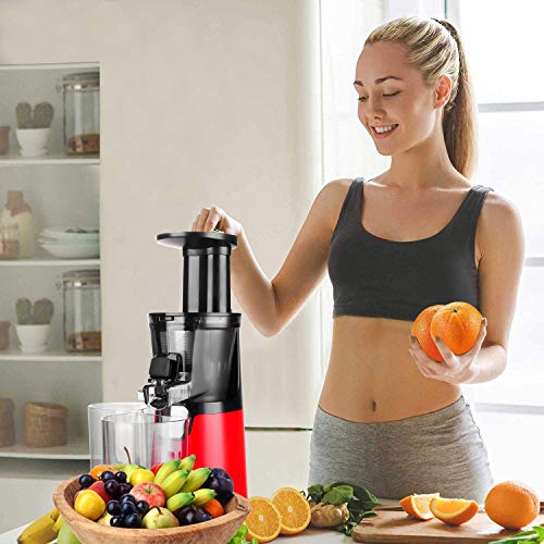 Homevolts Slow Juicer Red Compact Masticating Juicer with Cold Press