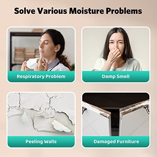 FREE VILLAGE Dehumidifier, 24 Pints Dehumidifier for Home Space Up to 1500 Sq. Ft, with Drain Hose, Auto Drainage, 0.53Gal Water Tank, 12 Hr Timer, Washable Filter, Dehumidifier for Basement, Bathroom