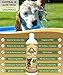 Oatmeal Shampoo for Dogs with Aloe Vera. Hypoallergenic Dog Shampoo for Allergies and Itching. Ideal Pet Shampoo for your Dog Grooming Supplies - Dog Bathing Supplies. Best Cat Shampoo & Puppy Shampoo