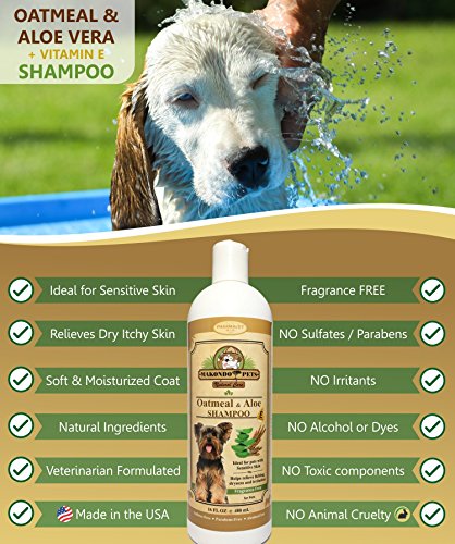 Oatmeal Dog Shampoo with Aloe Vera and Vitamin E - Hypoallergenic Dog Shampoo for Pets with Dry, Sensitive or Itchy Skin - All Natural Fragrance Free, 16 Ounces of the Best Dog Shampoo for Dry Skin