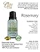 Rosemary Oil By Ovvio | Natural Rosemary Essential Oils for Holistic Health | 100% Pure Rosemary Essential Oil from Spain | Large 15ml