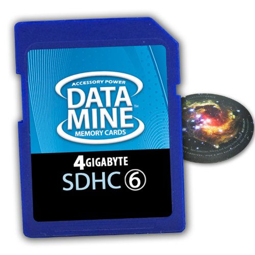 DataMINE 4GB SDHC Class 6 Memory Card Featuring DataSAFE