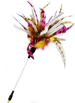 Reefa Plumeau Chat Jouet A Plume Canne A Peche Chat Amazon Fr Animalerie
