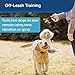 PetSafe Remote Spray Trainer – Collar and Remote for Dogs 8 lb. and Up, Fits Up to 27 in. Neck, 300 Yd. Range, Water Resistant and Rechargeable Collar with Citronella and Unscented Cartridgesthumb 1