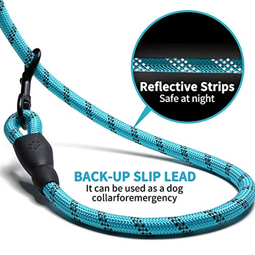 Doyoo 5 FT Strong Dog Leash with Comfortable Padded Handle and Highly Reflective Threads Dog Leashes for Medium and Large Dogs