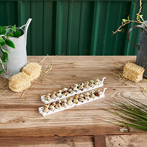 Farm Innovators 3400 Quail Rail Fits 120 Small Eggs, for 3400 Automatic Egg Turner, White (6