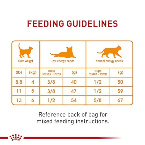 ROYAL CANIN FELINE CARE NUTRITION HAIR & SKIN CARE ADULT DRY CAT FOOD, 6 LB BAG