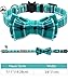 TagME Breakaway Cat Collar, Cat Safety Collar with Cute Bow Tie & Bell, Plaid Design Adjustable for Kitty 1 Pack, Teal