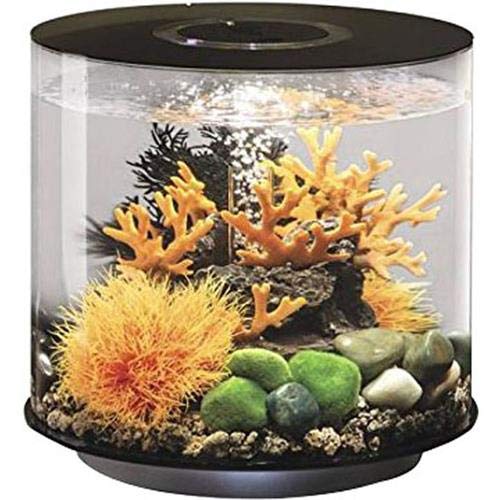 biOrb Tube 15 Aquarium with MCR – 4 Gallon, Black