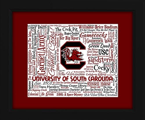 University of South Carolina 16x20 Art Piece - Beautifully matted and framed behind glass