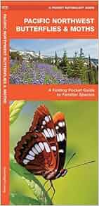Pacific Northwest Butterflies Amp Moths A Folding Pocket