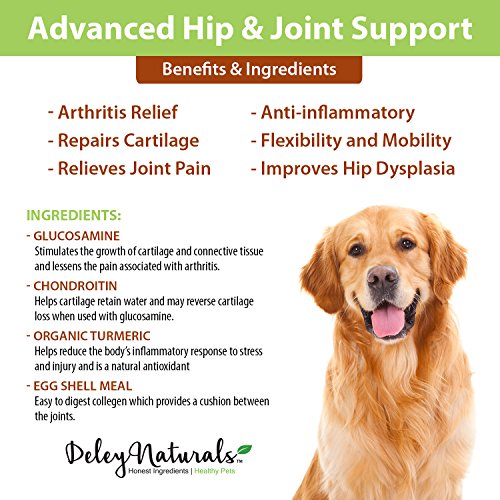 Glucosamine for Dogs Advanced Arthritis Pain Relief for Dogs