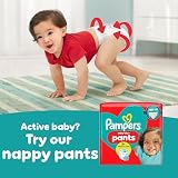 Pampers Baby-Dry Paw Patrol Edition Size 4 222 Nappies 9kg-14kg view 10