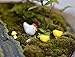 Danmu Mini Resin Fairy Garden Figurines, Fairy Garden Miniatures, Fairy Garden Accessories, The Chickens and Eggs Set Miniature Plant Pots Bonsai Craft Micro Landscape DIY Decor