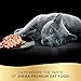 SHEBA PERFECT PORTIONS Cuts in Gravy Wet Cat Food Trays (24 Count, 48 Servings), Signature Salmon and Shrimp Entrée, Easy Peel Twin-Pack Trays