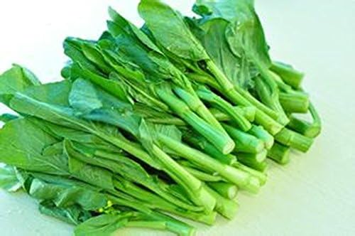 200 X Chinese Broccoli, Kailan Gai Lan Seeds - Most Popular Vegetable in Cantonese Cuisine