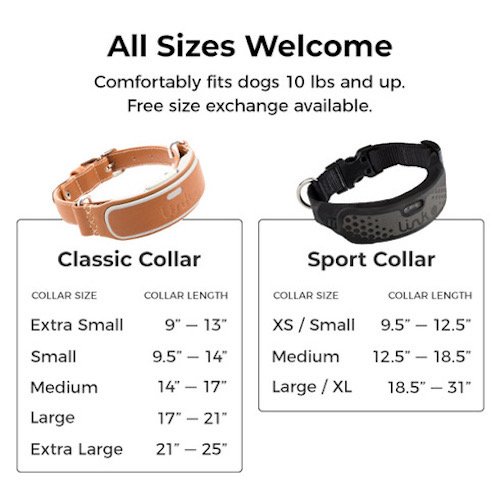 Link AKC Smart Dog Collar - GPS Location Tracker, Activity Monitor, and More, Sport Medium (KITSV02) - Thumbnail 4