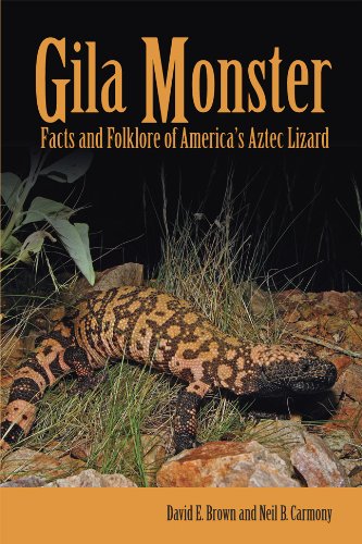 Gila Monster: Facts & Folklore Of Americas Aztec Lizard