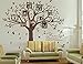 Giant Family Tree Wall Decals Photo Tree Wall Decals with Birds Wall Stickers for Living Room Nursery Bedroom Decoration (Coffee Brown)