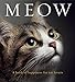 Meow: A book of happiness for cat lovers (Animal Happiness)