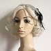 Pixnor 1920s Flapper Great Gatsby Headpiece Headband with Feather Vintage Black