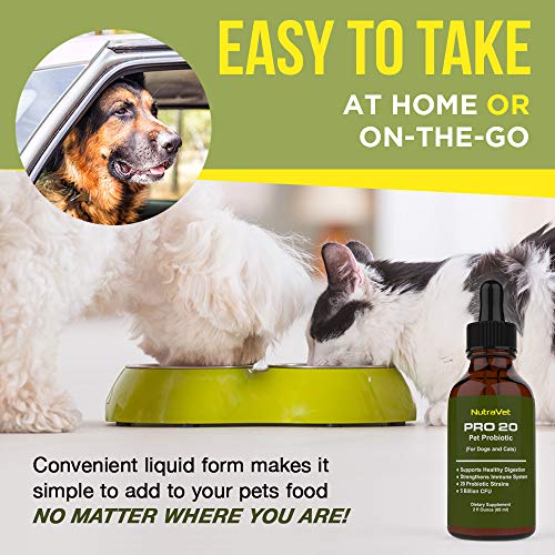 Probiotics for Dogs and Cat Probiotics 120 servings (1/2ml). 100