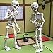 Kalttoyi Movable Mr. Bones Skeleton Human Model Skull Full Body Mini Figure Toy Halloween