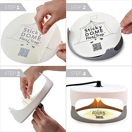 GardenHOME HR231 ASPECTEK Favored-Trapest Sticky Dome Bed Bug 2 Glue Discs.Odorless Non, White