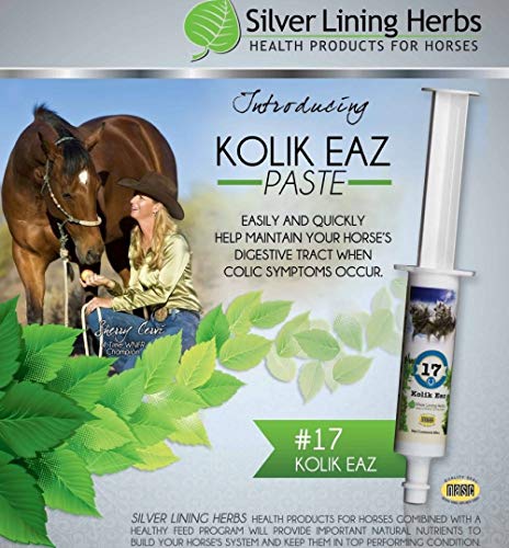 Kolik Eaz: Relief of Horse Colic and Bad Digestion | Improving Horse Gut Health and a Return To a Normal Gastrointestinal Tract | 80cc Paste | Made In USA by Silver Lining Herbs With Natural Herbs