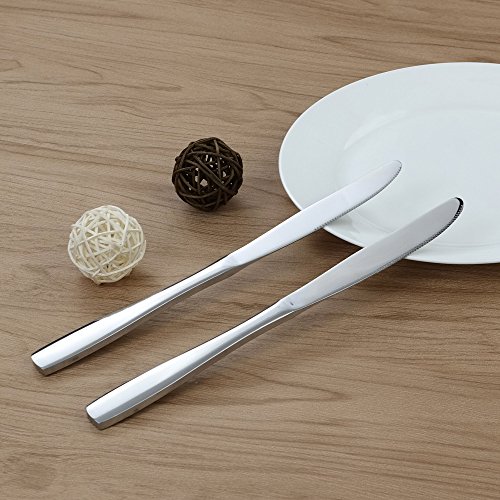 Hommp 16Piece Stainless Steel Dinner Knives Set The Home Kitchen Store