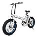 ECOTRIC 20