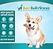 Best Bully Sticks Grade-A Medium Whole Elk Antler Dog Chew (1 Antler) Sourced in the USA