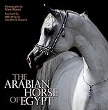 The Arabian Horse of Egypt by 