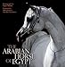 The Arabian Horse of Egypt by 