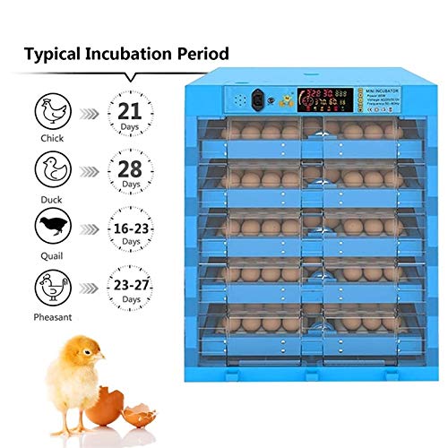 CHICTI Brutmaschine Vollautomatisch Hühner 320 Eier Temperatur Und Feuchtigkeitsregulierung LED-Kerze Für Chicken Duck… – Bild 4
