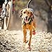 RUFFWEAR - Top Rope, Meadow Green, Large