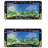 Walt Disney Tinkerbell Tink Car Auto SUV RV Pair of License Plate Frames