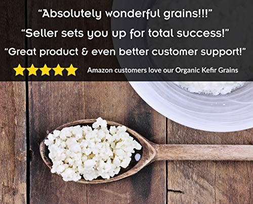 1 1TBSP+Active+Organic+Kefir+Grains