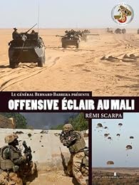 Book's Cover ofOFFENSIVE ECLAIR AU SAHEL La Brigade Serval au combat