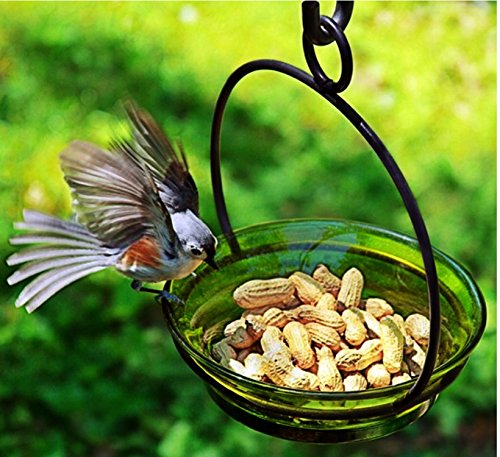 Glass Flat Bottom Hanging Wild Bird Baths G446M Clear Decorative Birdseed Container Feeder. Romantic Decor & More