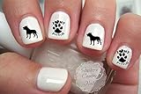 Pitbull Nail Art Decals